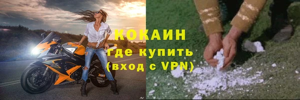 дживик Арсеньев