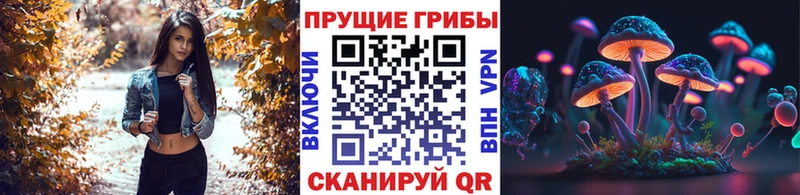 гидра как войти  Оса  Галлюциногенные грибы Magic Shrooms 