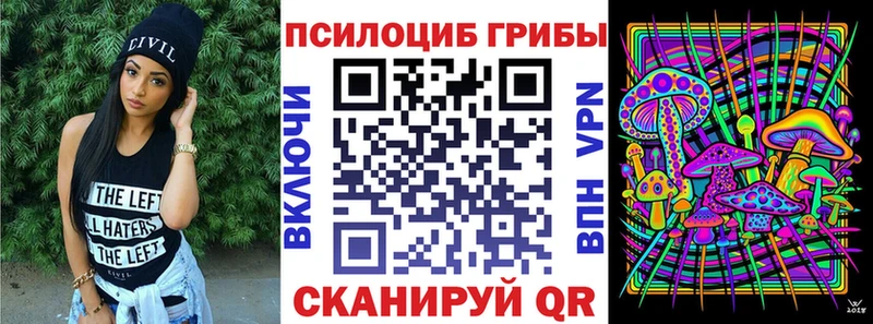 Псилоцибиновые грибы Psilocybe Оса